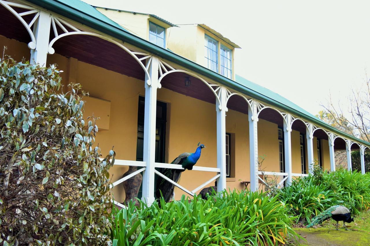 Cleburne Homestead Risdon Экстерьер фото
