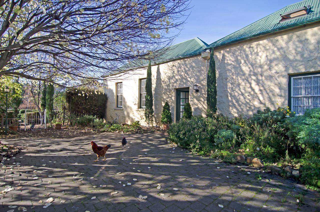 Cleburne Homestead Risdon Экстерьер фото